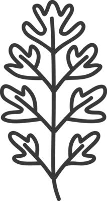 A black and white drawing of a leaf