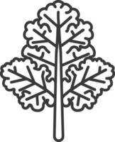 Line Drawing of a Single Kale Leaf vector