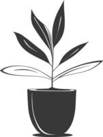 Plant in pot illustration vector