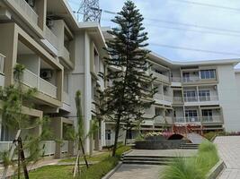 Apartment Complex Courtyard with Greenery and Modern Architectural Design photo