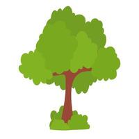 Green tree with grass vector