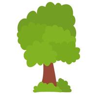 A green tree with green grass vector