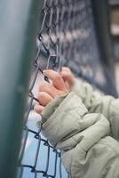 A childs hands gripping a chainlink fence tightly, symbolizing curiosity and exploration in youth photo
