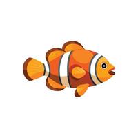 Clown fish or anemone fish isolated flat illustration white background vector