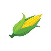 Freshly Picked Ear of Corn with Vibrant Green Husks isolated flat illustration wihte background vector