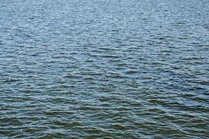 Calm water surface with small ripples. Background of the water surface of the river on a sunny day. photo