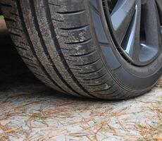 Puncture Risk For Car Tire On A Forest Road With Huge Pine Tree Needles Closeup Stock Photo