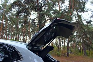 Opened Trunk Of White Car Parked On Forest Clearing. Journey Through The Forest By Vehicle photo
