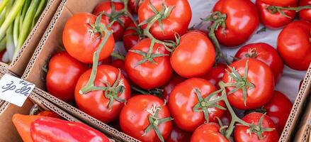 Ripe tomato. Choose ripe tomato in market. Tomatoes lying on a pile on top of each other, tomato texture. Selective focus. photo