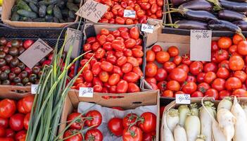 Ripe tomato. Choose ripe tomato in market. Tomatoes lying on a pile on top of each other, tomato texture. Selective focus. photo
