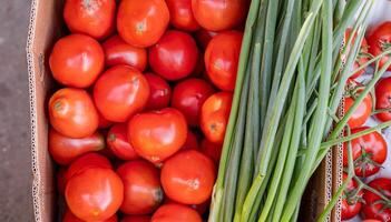 Ripe tomato. Choose ripe tomato in market. Tomatoes lying on a pile on top of each other, tomato texture. Selective focus. photo