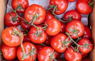 Ripe tomato. Choose ripe tomato in market. Tomatoes lying on a pile on top of each other, tomato texture. Selective focus. photo