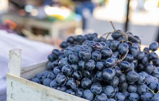Grape or anggur on the market. Grapes can be eaten fresh as table grapes or they can be used for making wine, jam, grape juice and jelly photo