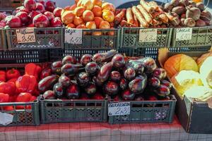 Top-down view of a heap of Brinjal egg fruit, aubergine, Solanum melongena for sale in a vegetable market. Overhead composition. Mandi market system in India. Farm laws. photo