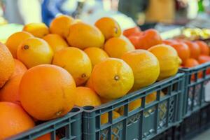 Fresh lemons are stacked on supermarket shelf and ready for purchase. Each lemon is ripe and full of citrus notes. Ideal for demonstrating availability and quality of fresh lemons in grocery stores. photo
