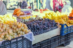 Grape or anggur on the market. Grapes can be eaten fresh as table grapes or they can be used for making wine, jam, grape juice and jelly photo