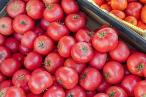 Ripe tomato. Choose ripe tomato in market. Tomatoes lying on a pile on top of each other, tomato texture. Selective focus. photo