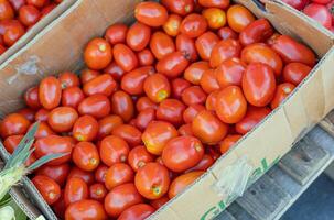 Ripe tomato. Choose ripe tomato in market. Tomatoes lying on a pile on top of each other, tomato texture. Selective focus. photo