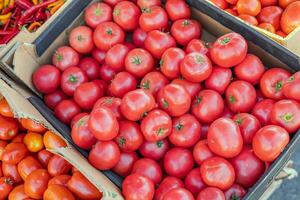 Ripe tomato. Choose ripe tomato in market. Tomatoes lying on a pile on top of each other, tomato texture. Selective focus. photo