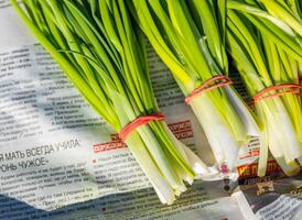 Leeks arranged in large piles on the display at the farmer's market. Green leafy leek. A pattern of green stems. photo