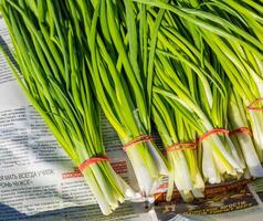 Leeks arranged in large piles on the display at the farmer's market. Green leafy leek. A pattern of green stems. photo