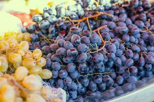 Grape or anggur on the market. Grapes can be eaten fresh as table grapes or they can be used for making wine, jam, grape juice and jelly photo