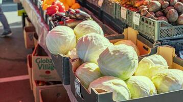Cabbages at the market stall. Fresh vegetables for sale. Farmers market products. Seasonal vegetables display. Organic cabbage. Healthy food on a local market stand background. photo