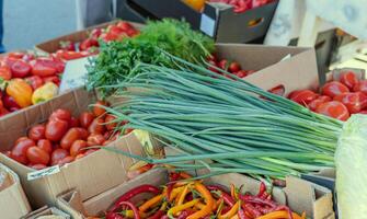 Leeks arranged in large piles on the display at the farmer's market. Green leafy leek. A pattern of green stems. photo