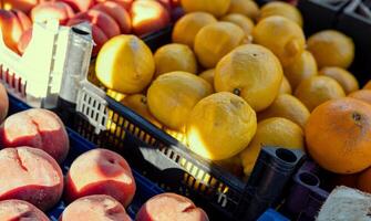Fresh lemons are stacked on supermarket shelf and ready for purchase. Each lemon is ripe and full of citrus notes. Ideal for demonstrating availability and quality of fresh lemons in grocery stores. photo