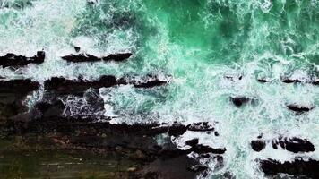 Aerial top view white waves crashing on black rocks with green seawater around them. The rocks are clearly visible with green streaks from sea moss growing on them. video
