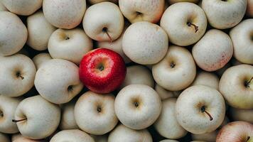 White apples, with one red apple standing out in the center. video
