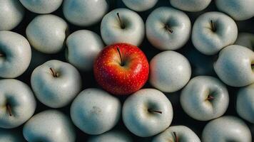 White apples, with one red apple standing out in the center. video
