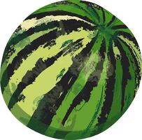 Watermelon isolated on a white background vector