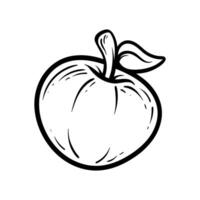 apple fruit isolated drawing coloring line art style sketch classic vintage design illustration vector