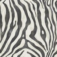 Stylish abstract animal print pattern featuring black and white zebra-like stripes on a textured background photo