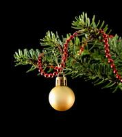 Yellow ball and red string of beads on a green branch of a Christmas tree isolated on a black background photo