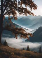 Shot from a high hill on a valley covered with fog, hills and trees in autumn photo