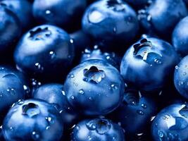 Blueberries are shown in this photo