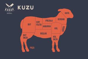 Meat cuts. Poster for a butcher shop with text in Turkish vector