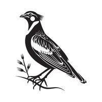 Quail Silhouette Design Art, Icons, and Graphics isolated on white background vector