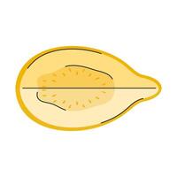 Hand drawn yellow half guava in doodle style. Top view. Cut piece of exotic fruit vector