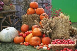 Fresh organic vegetables on farmer market. Local farm bazaar. Assortment of fresh organic harvest garden produce. Tomato, gourds and pumpkins. Natural healthy food festival. Agricultural rustic fair photo
