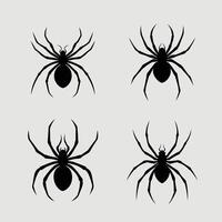 Four black spiders on a white background vector
