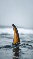 Old Surfboard Fin Cutting Through Water. Surfing, Adventure, and Ocean Sport Concept. photo