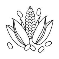 Corn and Beans - A group of corn and beans arranged together, outlined for a harvest-themed coloring page. vector