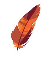 Feather symbolizes fragility and beauty in nature icon isolated vector