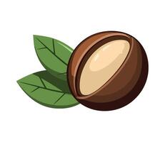 Fresh organic snack in a nutshell vector