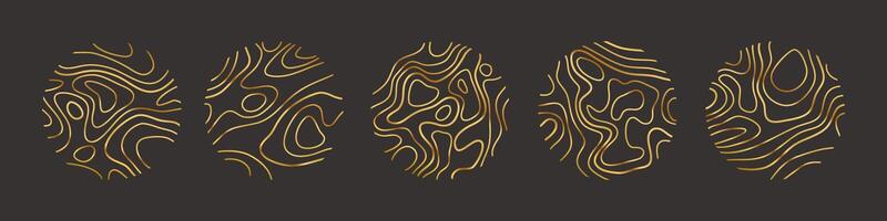 Circular wood rings or topographic map lines texture set. Wood tree topographic abstract lines collection vector