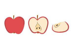 Hand drawn apple set. Simple drawing of whole, half apple, sliced, chopped fruit in doodle style vector