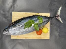 Fresh Tuna Fish with Celery and Lemon photo